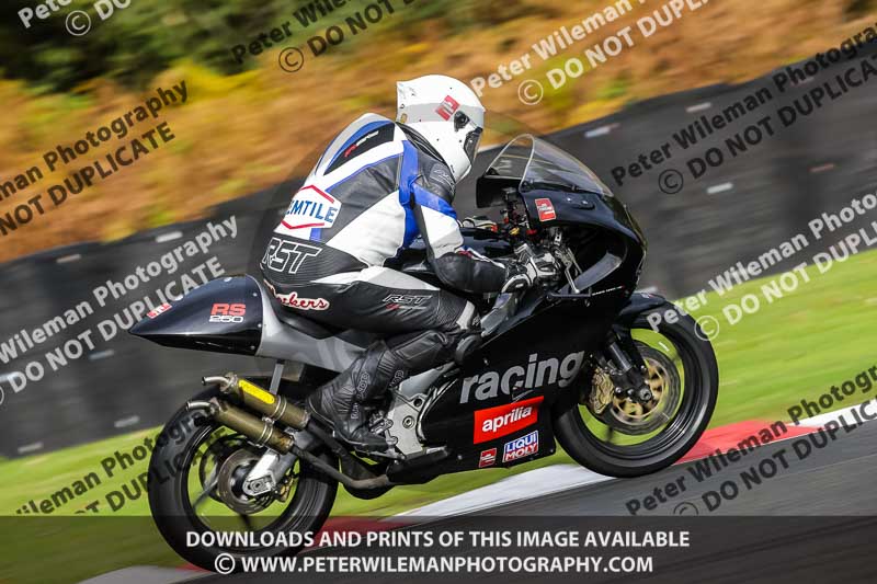 anglesey;brands hatch;cadwell park;croft;donington park;enduro digital images;event digital images;eventdigitalimages;mallory;no limits;oulton park;peter wileman photography;racing digital images;silverstone;snetterton;trackday digital images;trackday photos;vmcc banbury run;welsh 2 day enduro